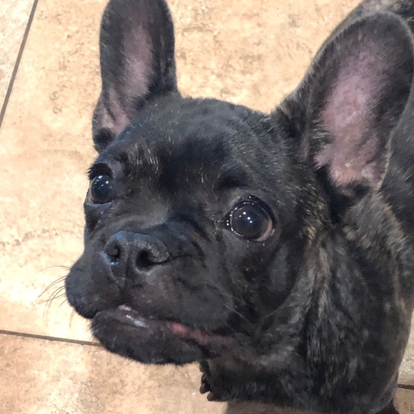 Meet your Posher, Ashley - Picture 1 of 1